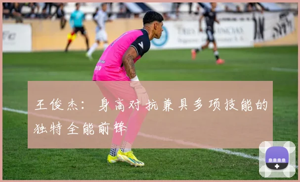王俊杰：身高对抗兼具多项技能的独特全能前锋